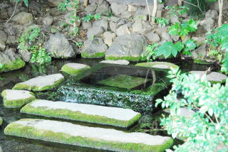 井の頭公園の湧水「お茶の水」